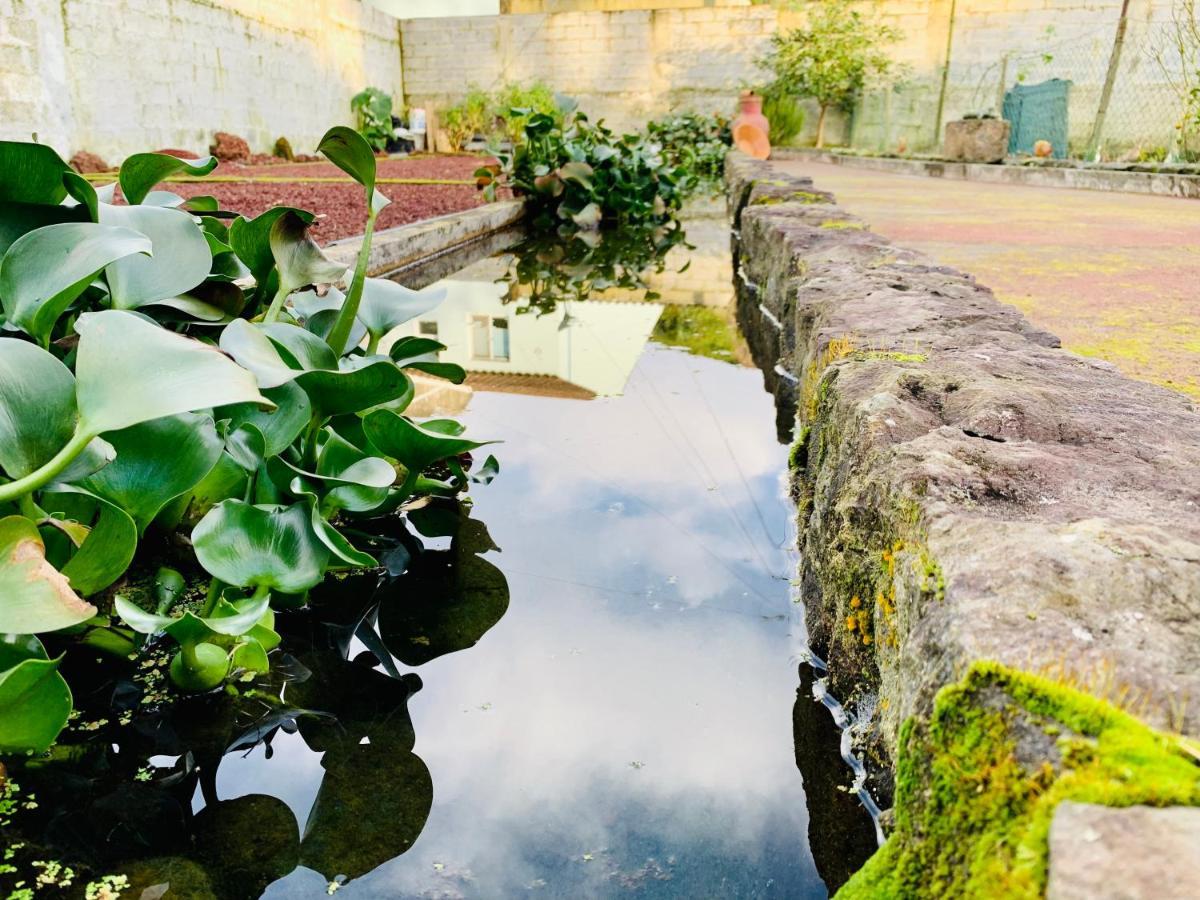 Furnas Spring Lodge エクステリア 写真