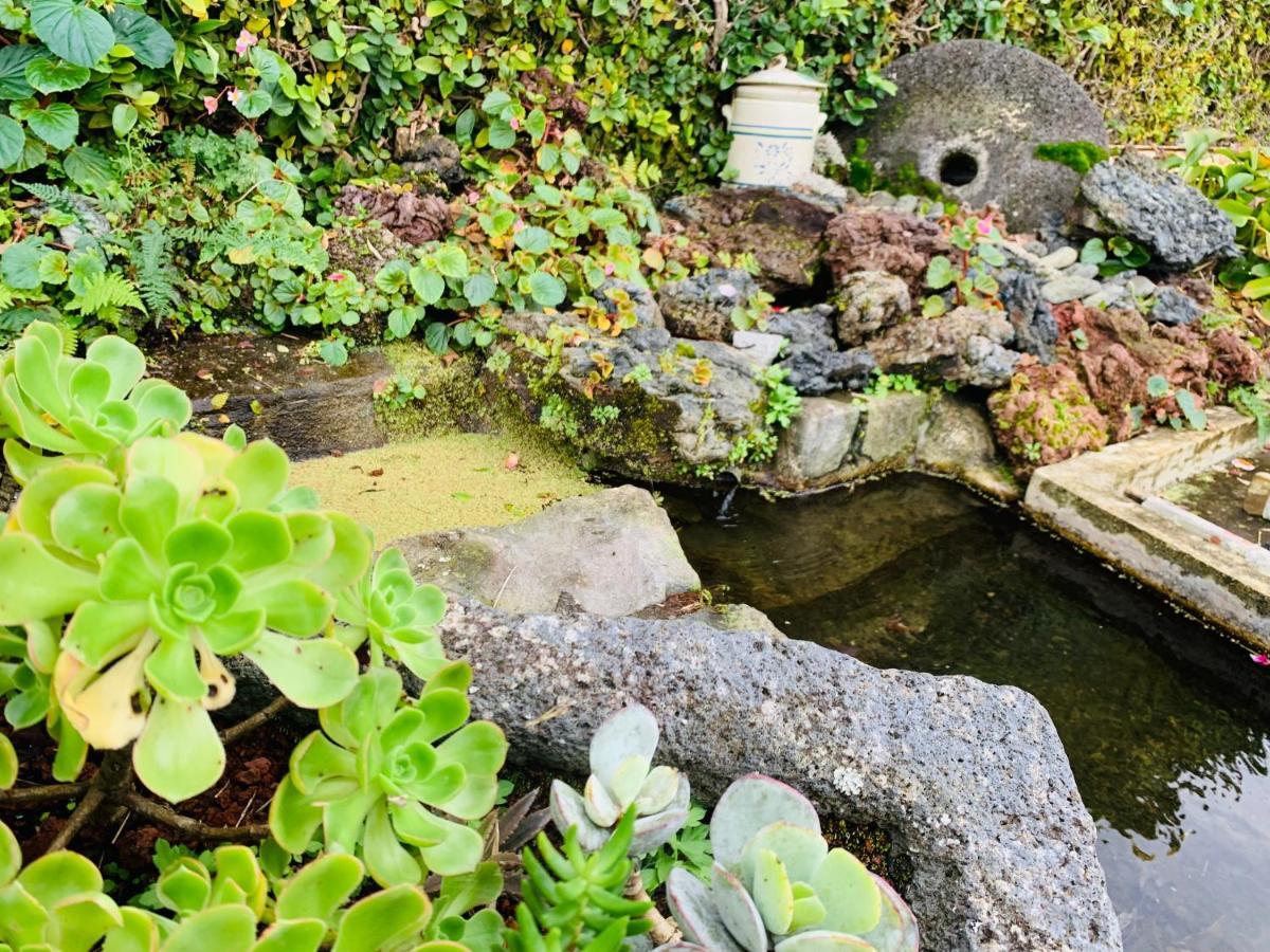 Furnas Spring Lodge エクステリア 写真