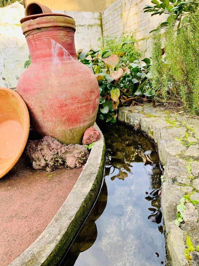 Furnas Spring Lodge エクステリア 写真