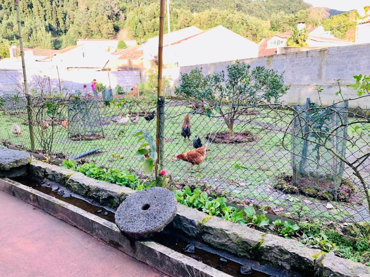 Furnas Spring Lodge エクステリア 写真