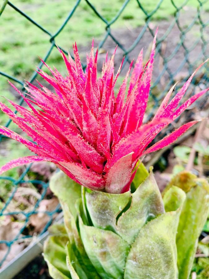 Furnas Spring Lodge エクステリア 写真